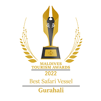 Award 4
